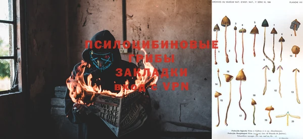соль ск Лиски