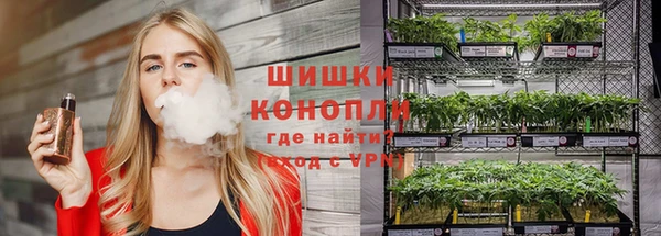 соль ск Лиски