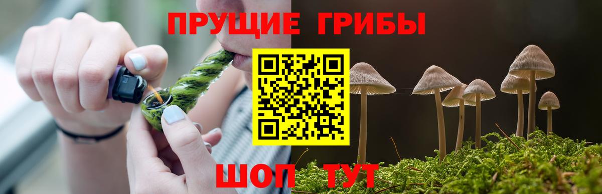 Первоуральск  Галлюциногенные грибы MAGIC MUSHROOMS  Вход с VPN 
